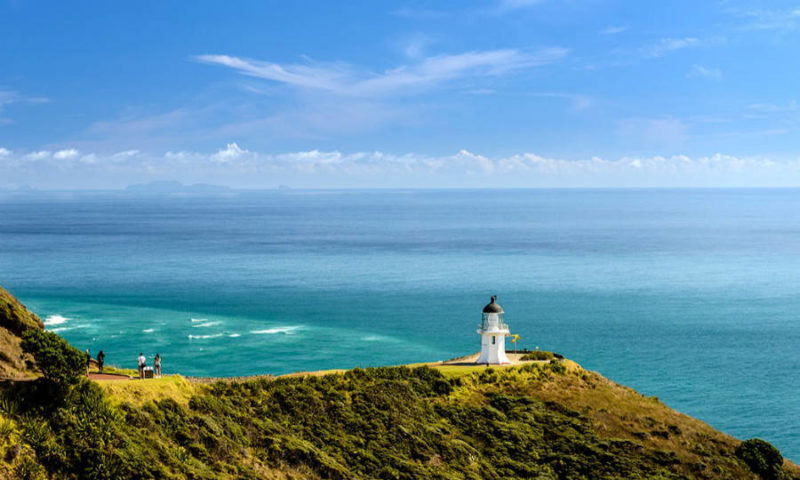 Things to do in New Zealand Cape Reigna