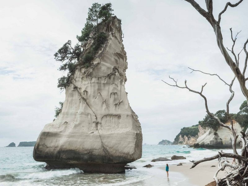 new zealand instagram guide katya jackson