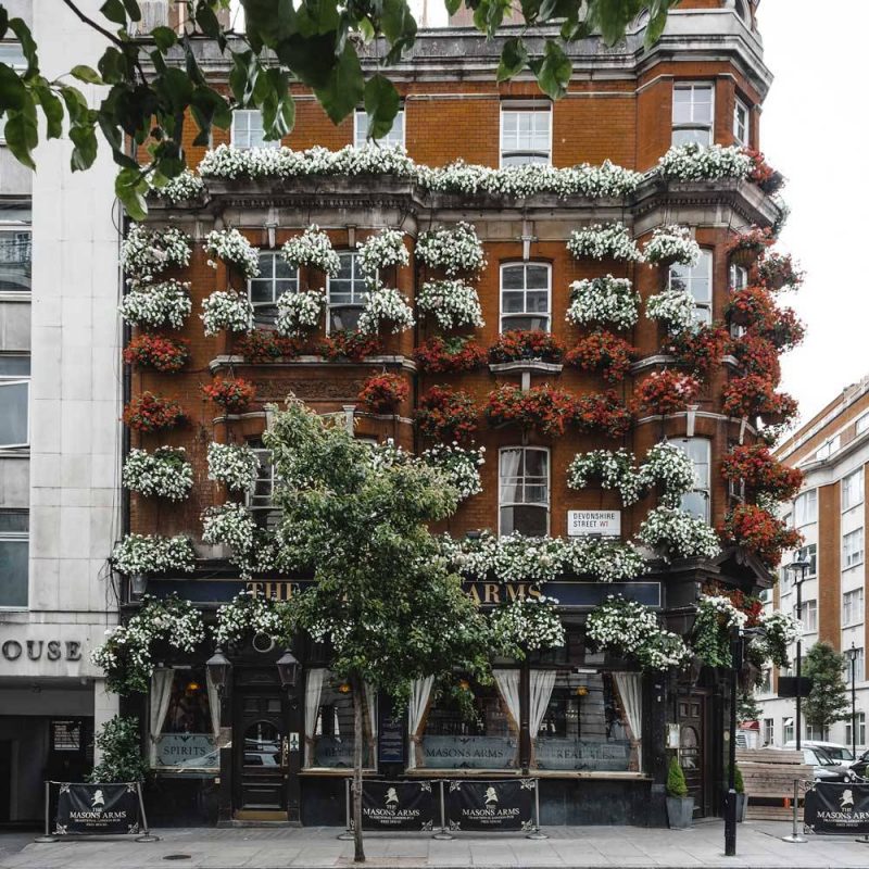 The Masons Arms Pub London