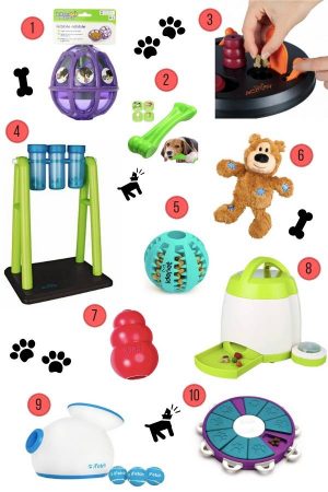 Interactive dog toys uk amazon Best Dog Toys Katya Jackson 2
