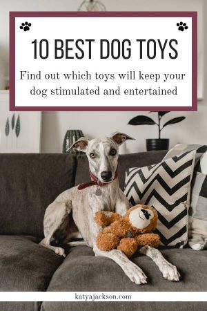 Interactive dog toys uk amazon Best Dog Toys Katya Jackson 2