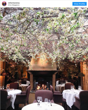 Beautiful-Interiors-London-Clos-Maggiore-Katya-Jackson