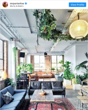 Beautiful-Interiors-London-Morty-&-Bobs-Katya-Jackson